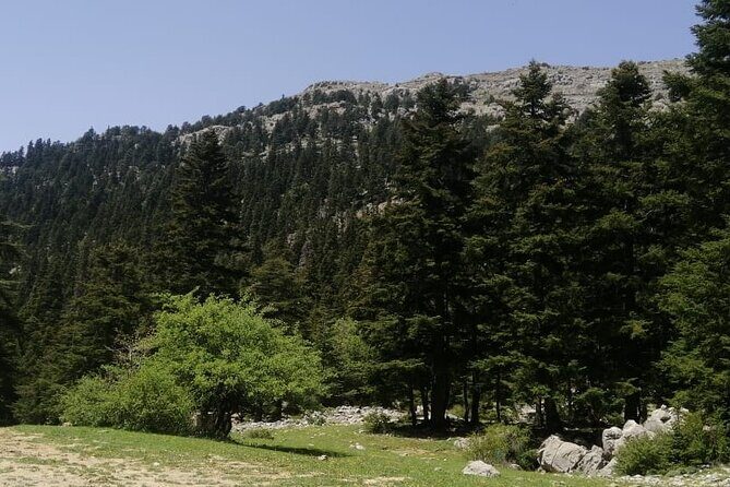 Full day excursion to Mount Lakraa | Highest in Talassemtane Park (2159m) - The Itinerary in Detail