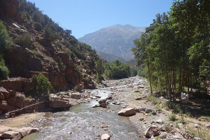 Full Day Excursion Tour to Ourika Valley - Why Choose the Ourika Valley Tour?