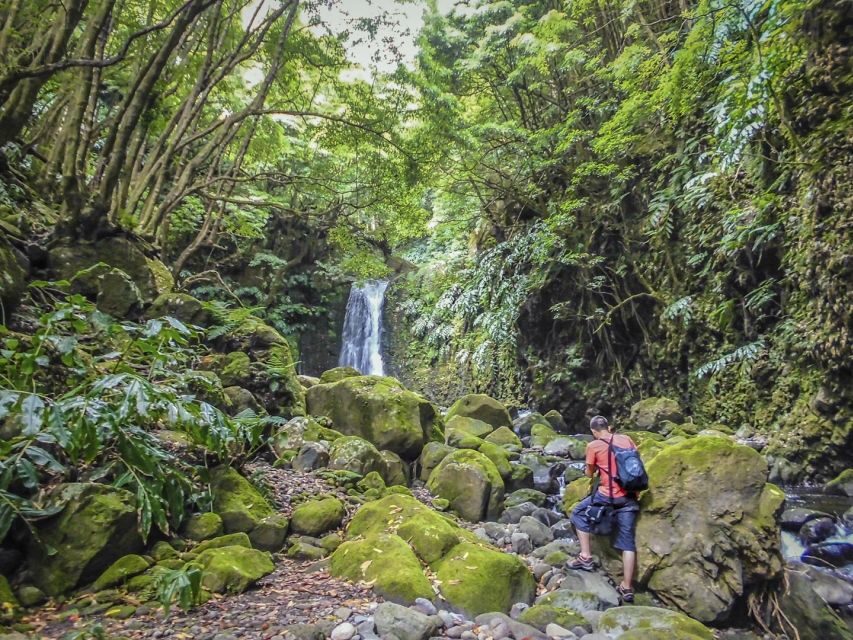 Full-Day Faial da Terra + Nordeste from Ponta Delgada - A Deep Dive into the Experience