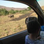 Full-Day Family Hluhluwe iMfolozi Park Safari Experience - Why This Tour Stands Out