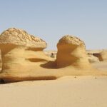 Full Day Fayoum Oasis and Waterfalls of Wadi El-Rayan - Who Is This Tour Best For?