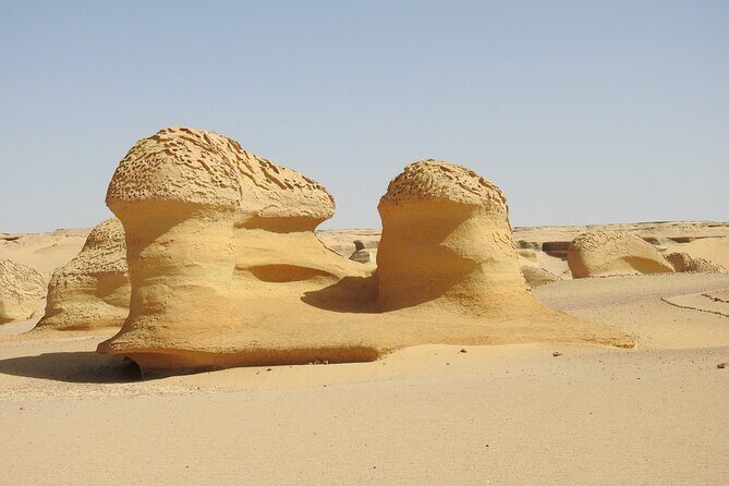 Full Day Fayoum Oasis and Waterfalls of Wadi El-Rayan - Who Is This Tour Best For?