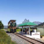 Full-Day Franschhoek Hop On Hop Off Wine Tram Tour from Cape Town - What to Expect from the Tour