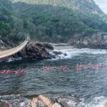 Full-Day Garden Route Safari from Port Elizabeth - Final Thoughts: Is It Worth It?