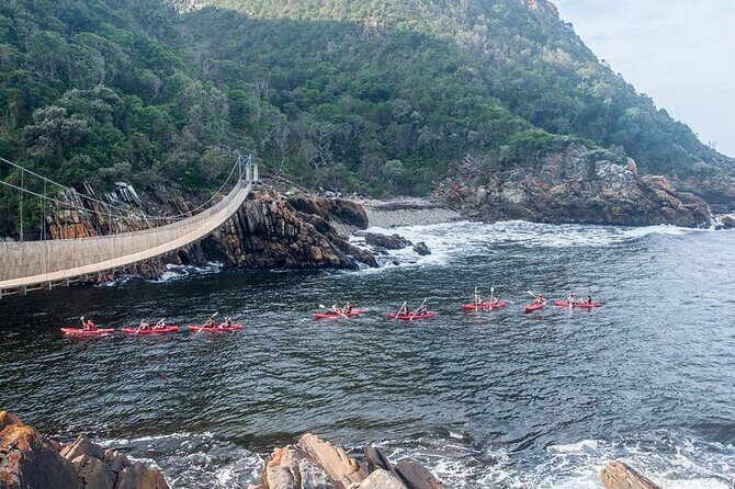 Full-Day Garden Route Safari from Port Elizabeth - Final Thoughts: Is It Worth It?