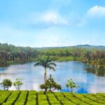 Full Day Guided Tea Route Mauritius: Including Lunch - Encounter with Wildlife at La Vanille Nature Park
