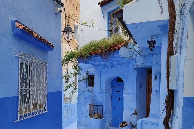 Full-Day Guided Tour from Fez to Chefchaouen - Practical Tips and Considerations