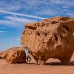Full Day Jeep & Camel Tour No stay - Cost and Value