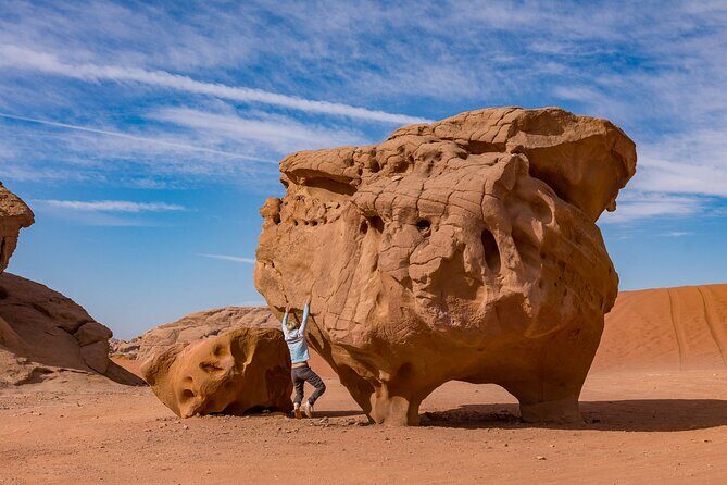 Full Day Jeep & Camel Tour No stay - Cost and Value