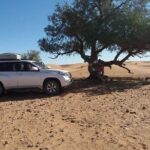 Full Day Jeep Tour to Agadir's Small Desert including Lunch - A Deep Dive into the Itinerary