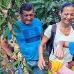 Full-day jungle trek on Nosy Komba (Lemur island) with the Black Lemur Sanctuary - Final Thoughts: Is This Tour Worth It?