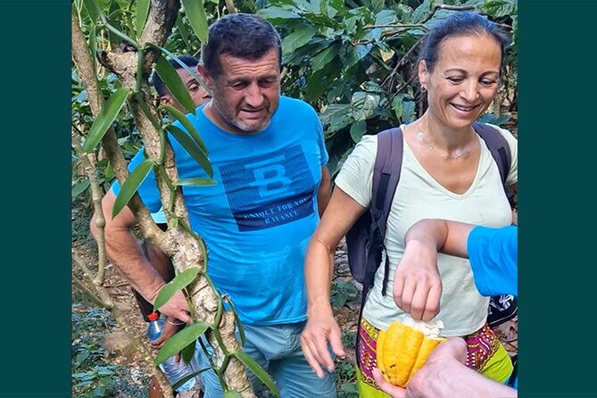 Full-day jungle trek on Nosy Komba (Lemur island) with the Black Lemur Sanctuary - Final Thoughts: Is This Tour Worth It?