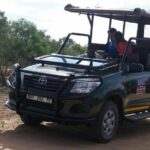 Full-Day Kruger National Park Safari - Practical Details: Price, Booking, and Additional Costs
