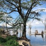 Full-Day Lake Nakuru National Park from Nairobi - FAQ