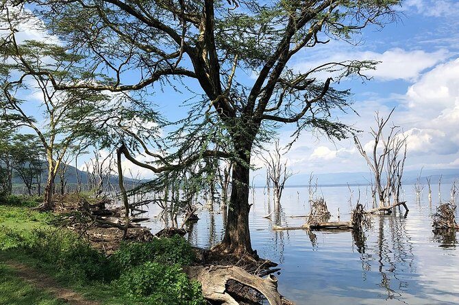 Full-Day Lake Nakuru National Park from Nairobi - FAQ