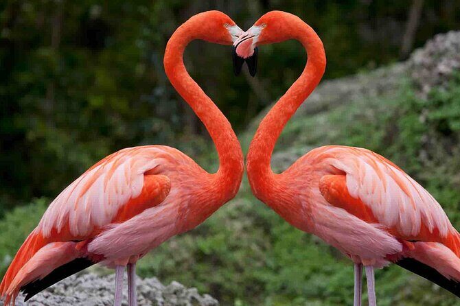 Full-Day Lake Nakuru National Park Private Tour from Nairobi - What’s Included and What’s Not