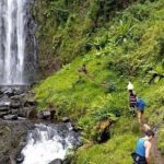 Full Day Materuni Water Falls, Hiking and Coffee Making Tour in Moshi - What to Expect from the Full Day Tour
