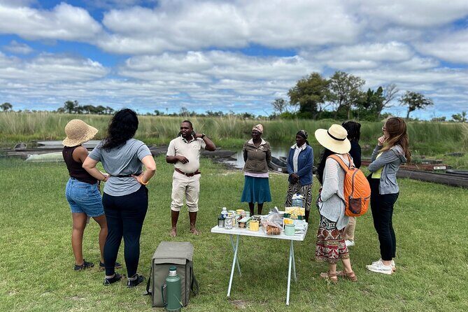 Full-Day Mokoro Experience in the Okavango Delta - Is It Worth the Price?