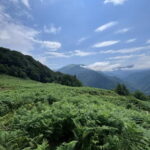 Full Day Mountine Tours from Batumi - The Transport: Comfortable and Connected