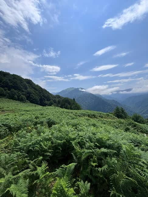 Full Day Mountine Tours from Batumi - The Transport: Comfortable and Connected