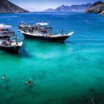 Full Day Musandam Dibba Cruise with Lunch from Dubai - Who Should Consider This Tour?