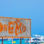 Full-day Nemo Island Snorkeling Sea Cruise With lunch- Hurghada - Who Will Love This Tour?