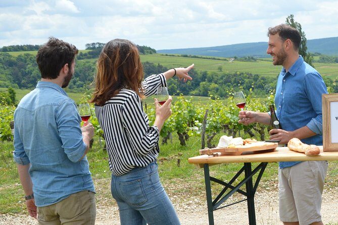 Full-Day North Burgundy and Chablis Wine Tasting Tour from Paris - Lunch at a Family-Run Winery