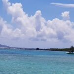 Full-Day Northern Catamaran Cruise: Coin de Mire and Ile Plate Island - Analyzing the Cost and Value
