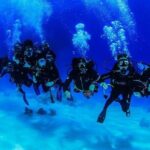 Full Day on Boat with 2 Dives in the Marine Parks of Sharm - Whats Included and What’s Not