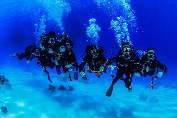 Full Day on Boat with 2 Dives in the Marine Parks of Sharm - Whats Included and What’s Not