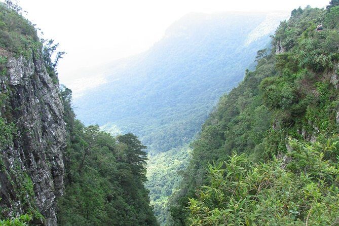 Full-Day Panorama Tour from Hazyview - Why This Tour Stands Out