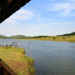 Full Day Pilanesberg Experience in Open Vehicle - What We Loved About The Tour