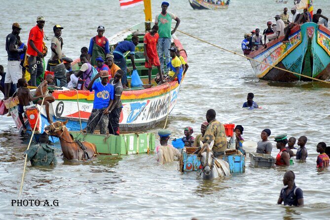 Full-Day PINK LAKE and FISHING VILLAGE combination - Why the Guide Matters