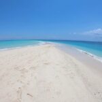 Full-day Prison Island and Nakupenda Sandbank with Lunch buffet - What Travelers Love Most