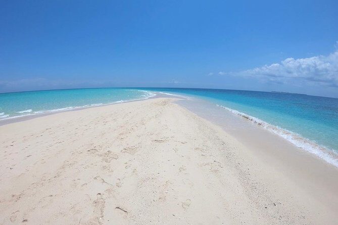 Full-day Prison Island and Nakupenda Sandbank with Lunch buffet - What Travelers Love Most