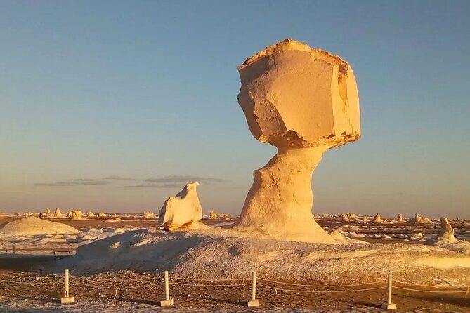 Full Day Private Bahariya Oasis and White Desert Tour from Cairo - The Value of the Tour