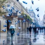 Full-day Private Baku City Tour - Practical Details and What to Expect