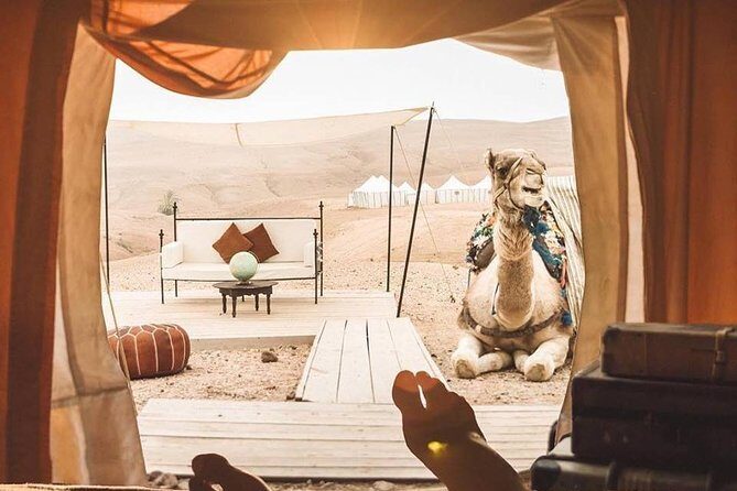 Full-Day Private Camel Ride in Agafay Desert with Lunch - Exploring the Itinerary: What to Expect