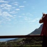 Full-Day Private Cape Peninsula Tour - Why This Tour Works