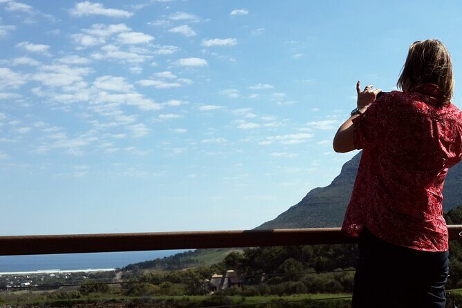 Full-Day Private Cape Peninsula Tour - Why This Tour Works