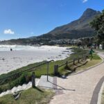 Full-Day Private Cape Towns Beaches Tour - Detailed Breakdown of the Itinerary