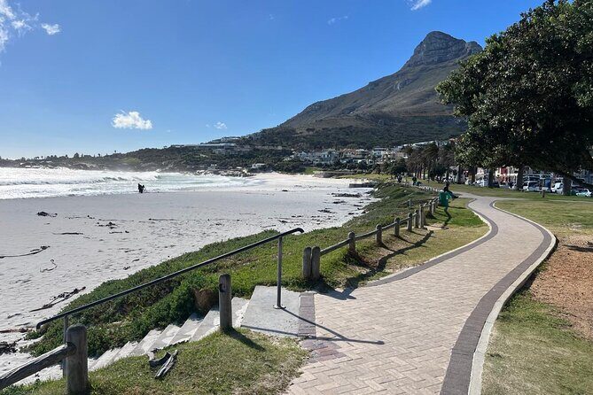 Full-Day Private Cape Towns Beaches Tour - Detailed Breakdown of the Itinerary