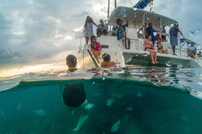Full Day Private Catamaran Cruise to Bénitiers Island - Why You’ll Love This Catamaran Cruise