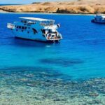 Full-Day Private Cruise in Ain Sokhna with Lunch - What the Tour Entails: A Detailed Breakdown