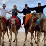 Full-Day Private Guided Tour in Tangier - Potential Drawbacks and Considerations