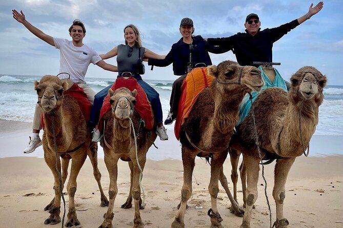 Full-Day Private Guided Tour in Tangier - Potential Drawbacks and Considerations