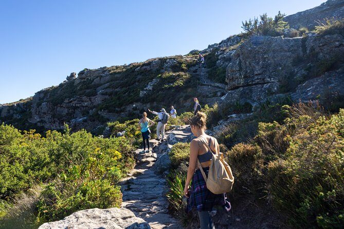 Full Day Private Hiking Table Mountain & City - Experience Overview: Nature Meets Culture in Cape Town