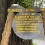 Full Day Private Hiking Tour to Kilimanjaro Mountain - The Itinerary Breakdown