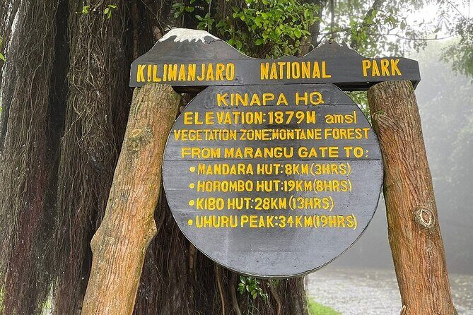 Full Day Private Hiking Tour to Kilimanjaro Mountain - The Itinerary Breakdown