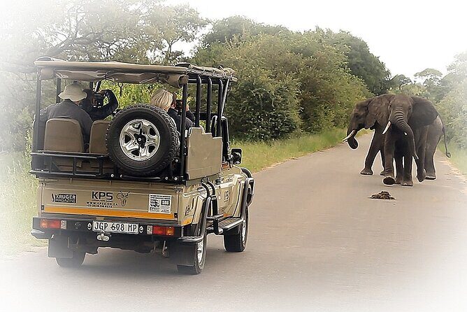 Full Day Private Kruger Park Safari - Why Choose the Full Day Private Kruger Park Safari?
